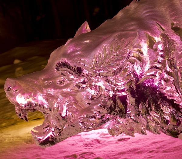 Ice Alaska 09 Hasselblad -0003492-4.jpg - *temp*